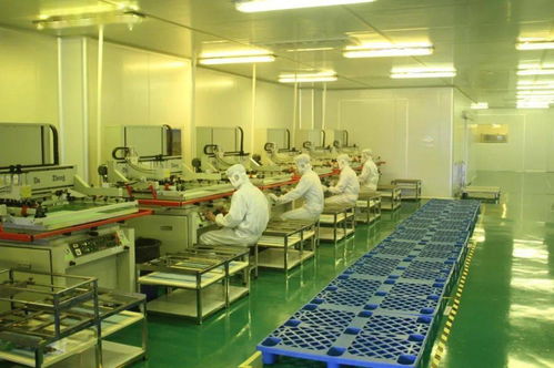 中共湛江市委十一屆十次全會(huì)工作報(bào)告要點(diǎn) 深化人力資源服務(wù)，規(guī)范職業(yè)中介活動(dòng)，賦能高質(zhì)量發(fā)展